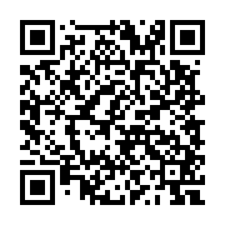 QR code for PYT541