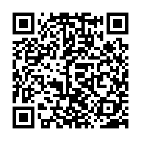 QR code for PYU389