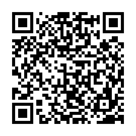 QR code for PYU536