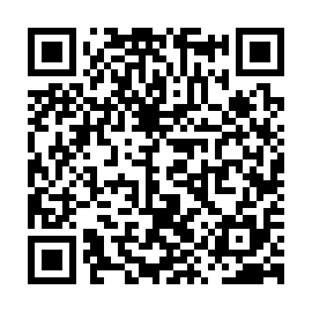 QR code for PYV315