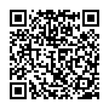 QR code for PYZ009