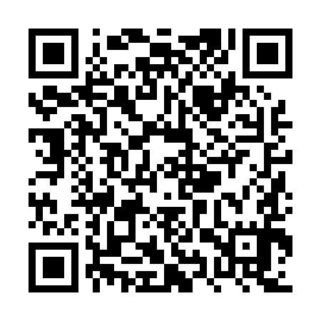 QR code for PYZ095