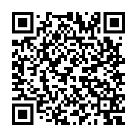 QR code for PYZ161