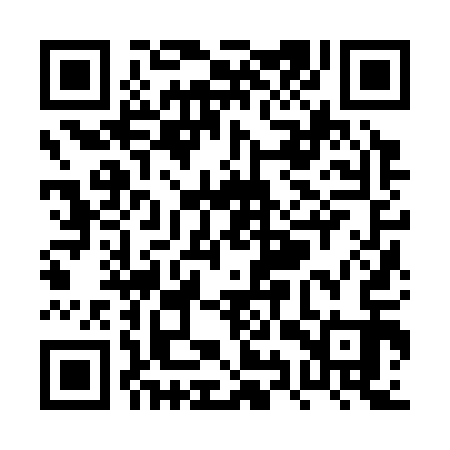 QR code for PYZ313