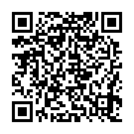QR code for PYZ379