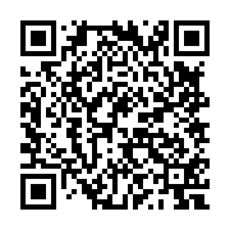 QR code for PYZ811
