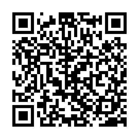 QR code for PZG241