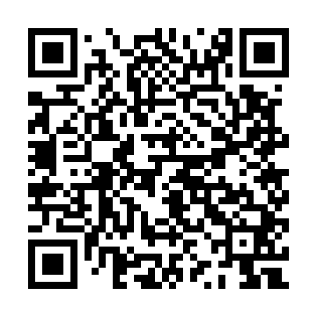 QR code for PZG540