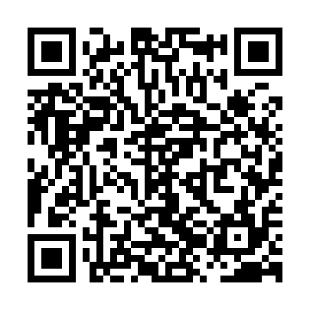QR code for PZG914