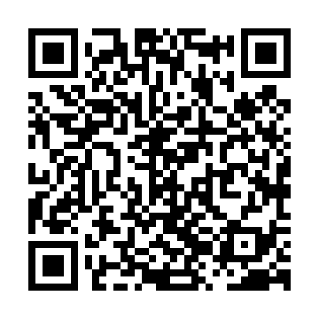 QR code for PZH439