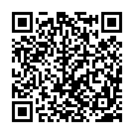 QR code for PZH496