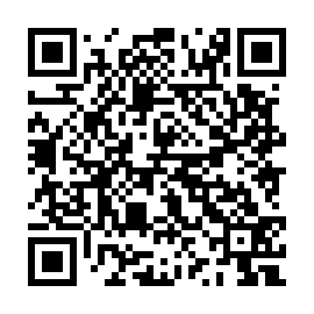 QR code for PZH533