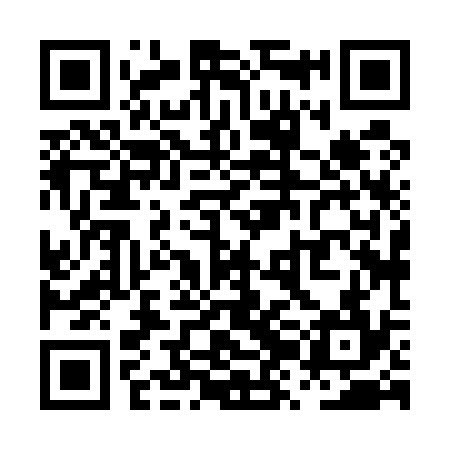 QR code for PZH534