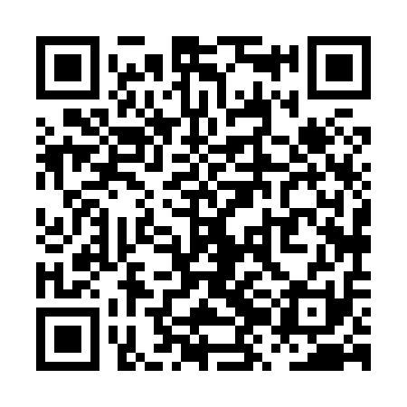 QR code for PZH811