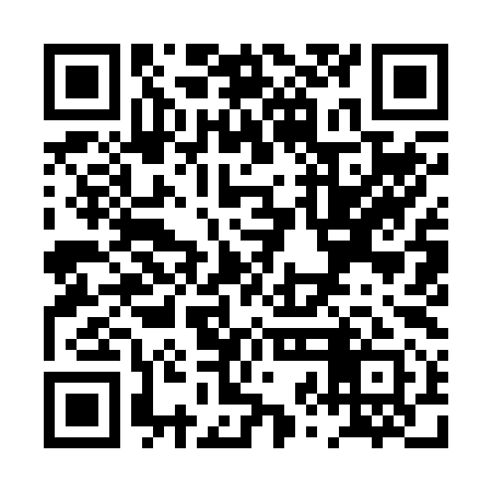QR code for PZI291