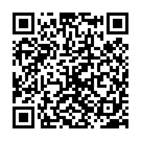 QR code for PZI491