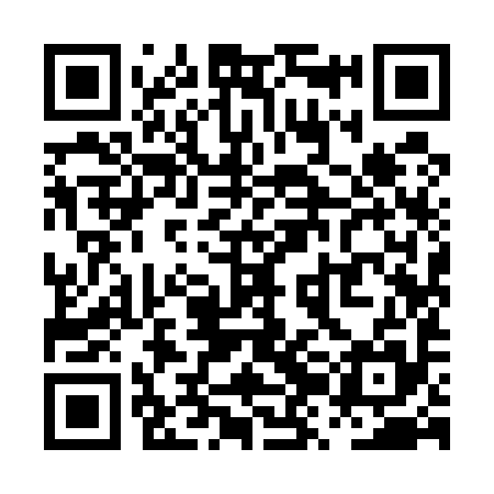 QR code for PZI595