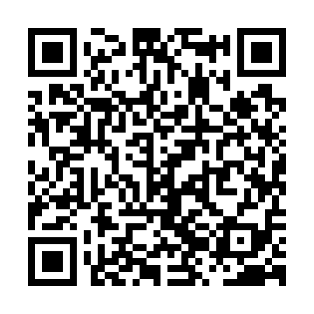 QR code for PZI719