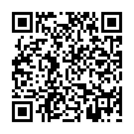 QR code for PZI958