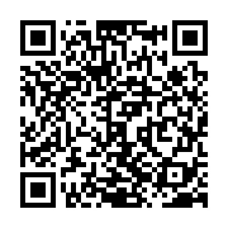 QR code for PZK379
