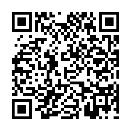 QR code for PZL313