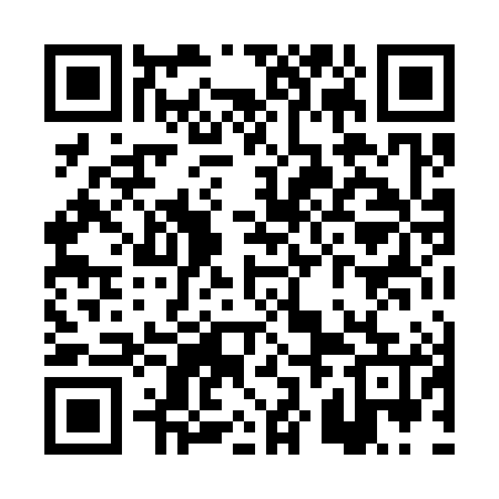 QR code for PZL385