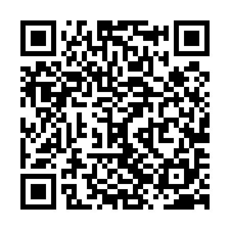 QR code for PZL595
