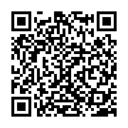 QR code for PZM379