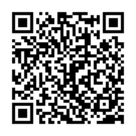 QR code for PZM380