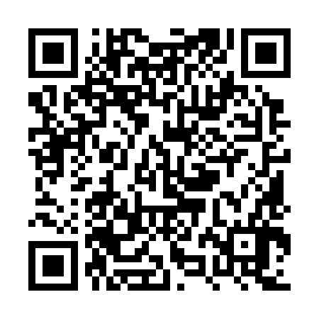QR code for PZM386