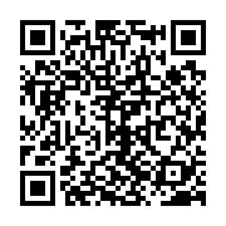 QR code for PZM729