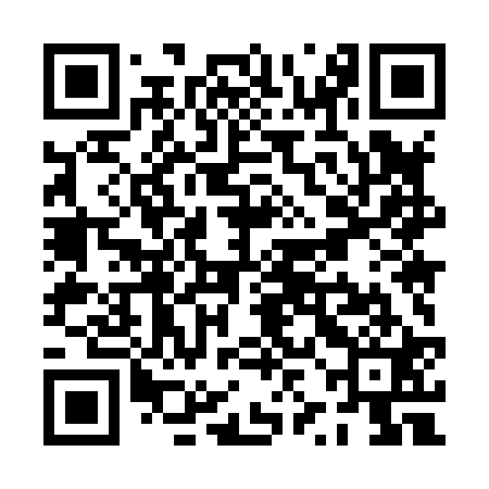 QR code for PZM821