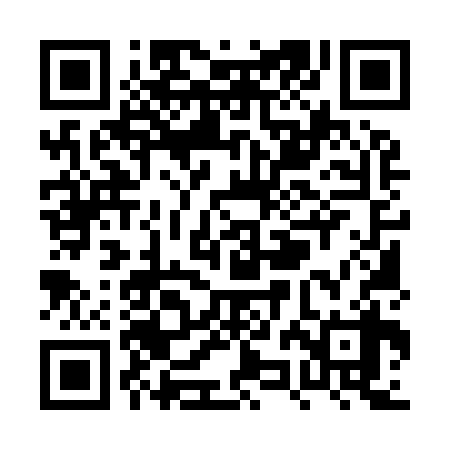 QR code for PZM938