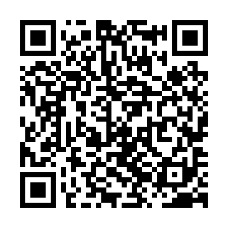 QR code for PZN291