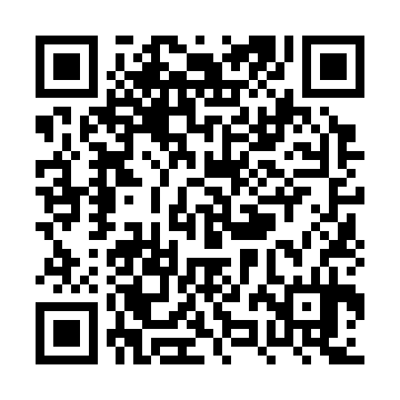 QR code for PZN334