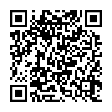 QR code for PZN336