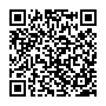 QR code for PZN484