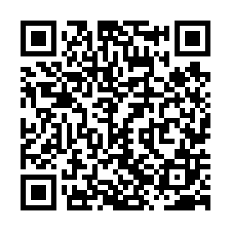 QR code for PZN602
