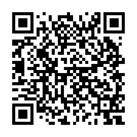 QR code for PZO294