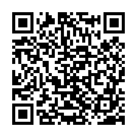 QR code for PZO462