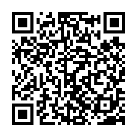 QR code for PZO691