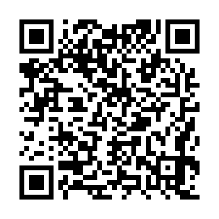 QR code for PZP173