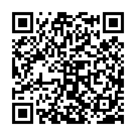 QR code for PZP411