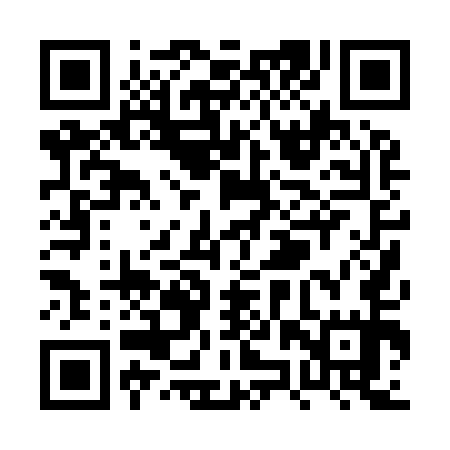 QR code for PZP955