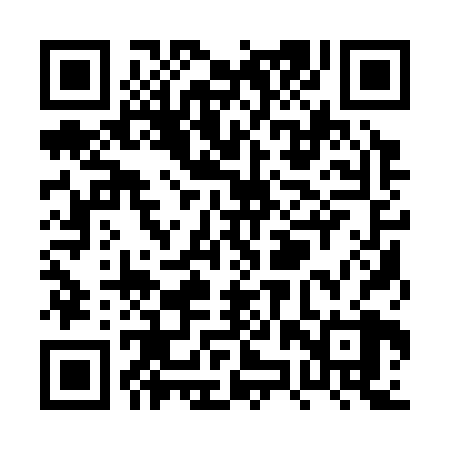 QR code for PZQ328