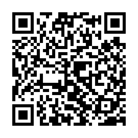 QR code for PZQ609