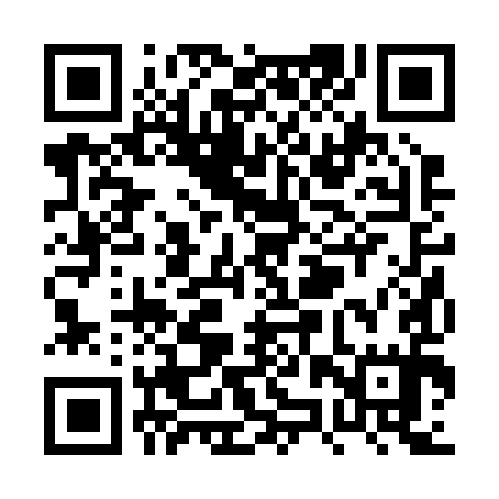 QR code for PZR295
