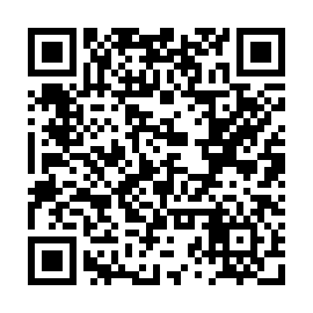 QR code for PZR386