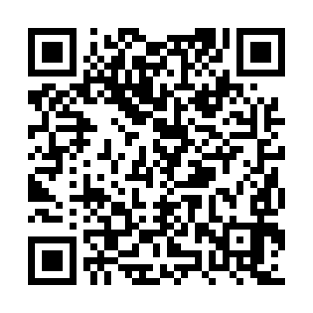QR code for PZR593