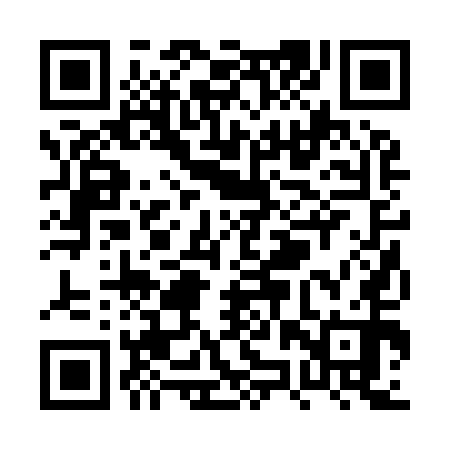 QR code for PZR950
